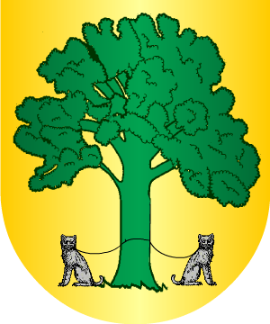 ESCUDO PRECEDENTE