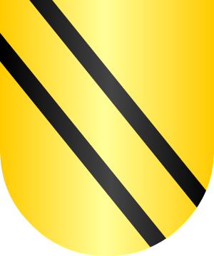ESCUDO ALEATORIO