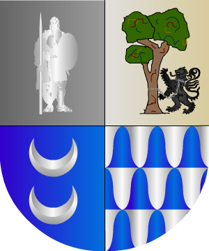 ESCUDO SIGUIENTE