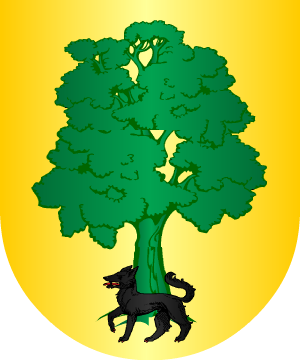 ESCUDO ALEATORIO