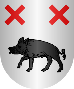 ESCUDO SIGUIENTE
