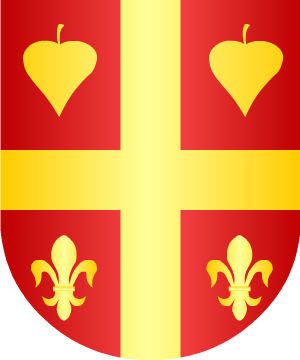 ESCUDO ALEATORIO