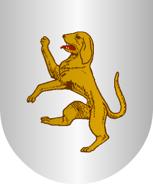 ESCUDO ALEATORIO