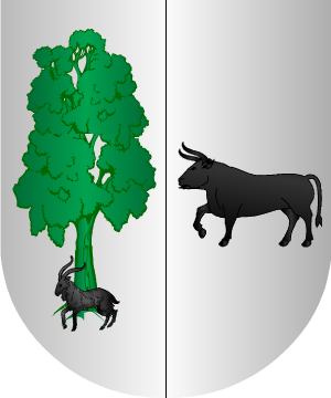 ESCUDO ALEATORIO