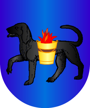 ESCUDO ALEATORIO
