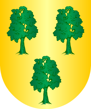 ESCUDO SIGUIENTE