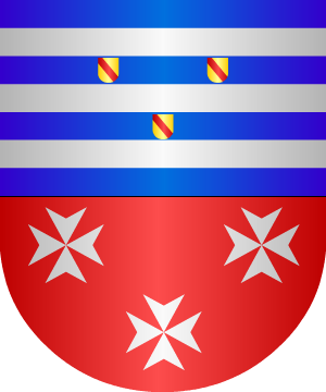 ESCUDO SIGUIENTE