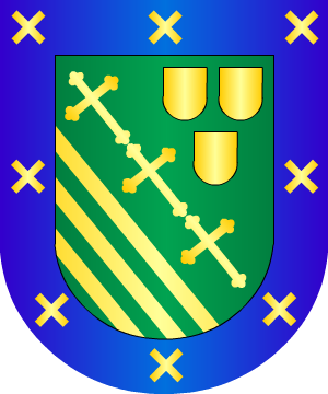 ESCUDO ALEATORIO