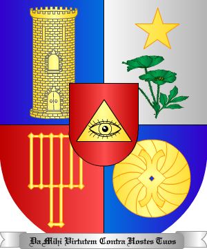 ESCUDO ALEATORIO
