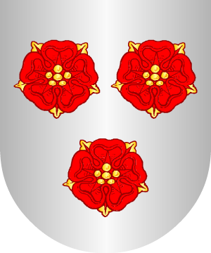 ESCUDO ALEATORIO