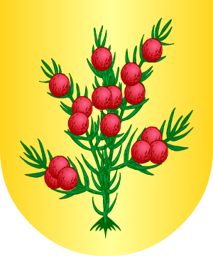 ESCUDO ALEATORIO
