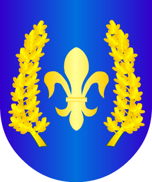 ESCUDO ALEATORIO
