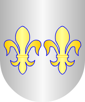 ESCUDO ALEATORIO