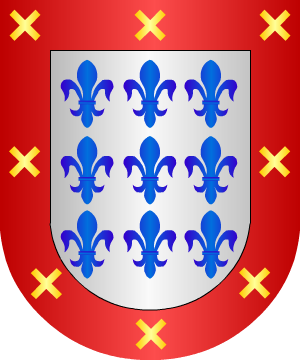 ESCUDO ALEATORIO