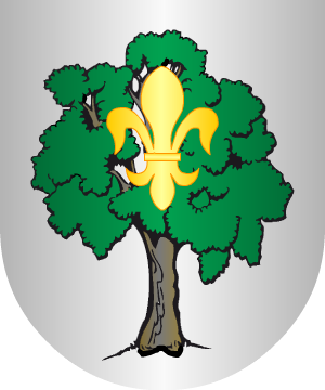 ESCUDO PRECEDENTE