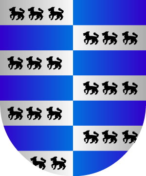 ESCUDO SIGUIENTE