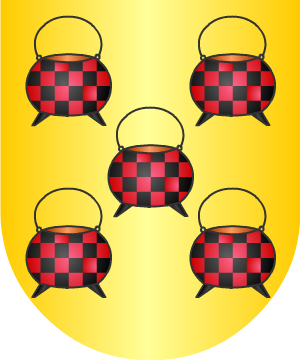 ESCUDO ALEATORIO