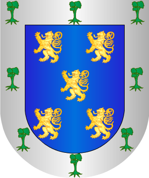 ESCUDO ALEATORIO