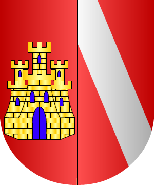 ESCUDO PRECEDENTE