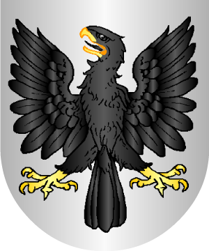 ESCUDO ALEATORIO