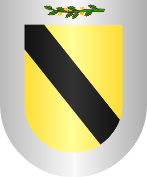 ESCUDO SIGUIENTE