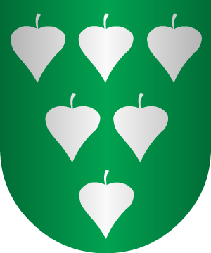 ESCUDO SIGUIENTE