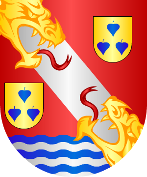 ESCUDO ALEATORIO
