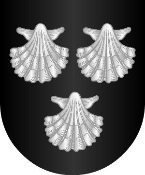 ESCUDO SIGUIENTE
