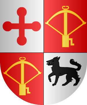 ESCUDO SIGUIENTE