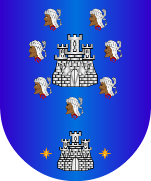 ESCUDO ALEATORIO