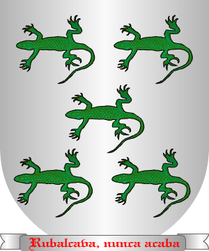 ESCUDO PRECEDENTE