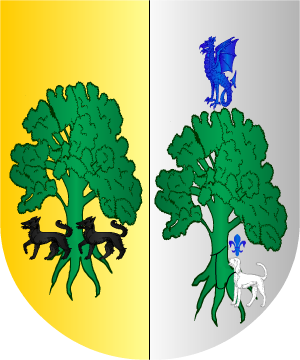 ESCUDO PRECEDENTE