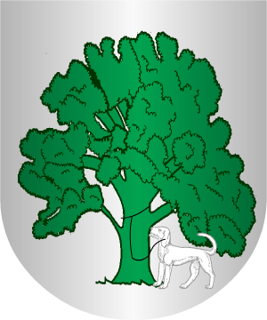 ESCUDO ALEATORIO