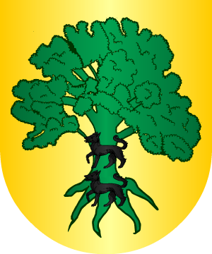 ESCUDO SIGUIENTE