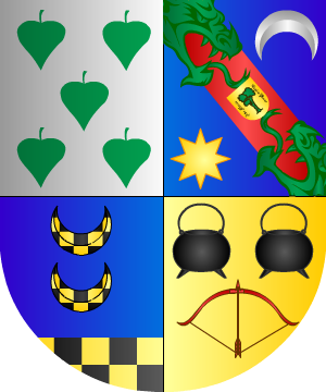 ESCUDO SIGUIENTE
