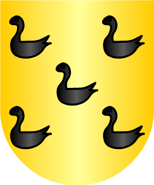 ESCUDO ALEATORIO