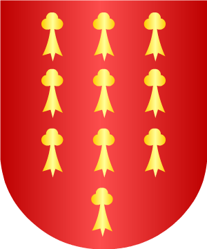 ESCUDO ALEATORIO