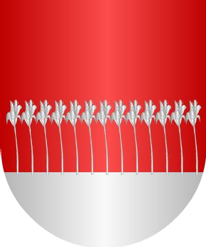 ESCUDO SIGUIENTE