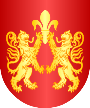 ESCUDO ALEATORIO