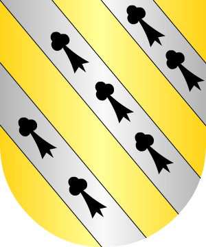 ESCUDO ALEATORIO