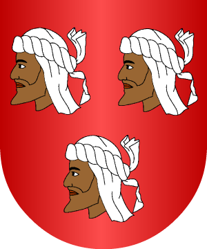 ESCUDO SIGUIENTE