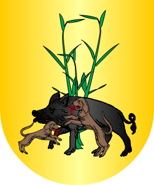 ESCUDO ALEATORIO