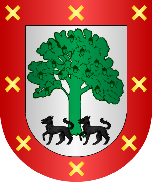ESCUDO SIGUIENTE