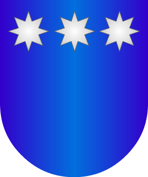 ESCUDO SIGUIENTE