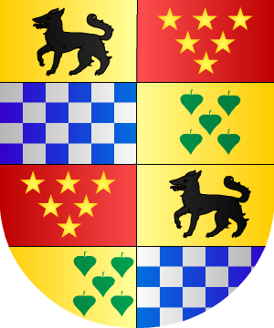 ESCUDO SIGUIENTE