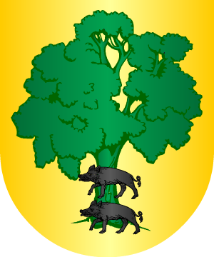 ESCUDO SIGUIENTE