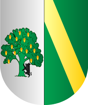 ESCUDO SIGUIENTE