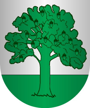 ESCUDO PRECEDENTE