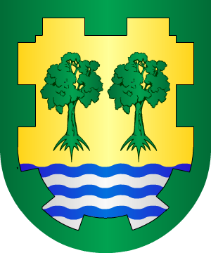 ESCUDO ALEATORIO