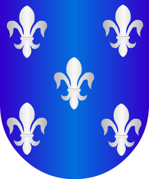ESCUDO SIGUIENTE